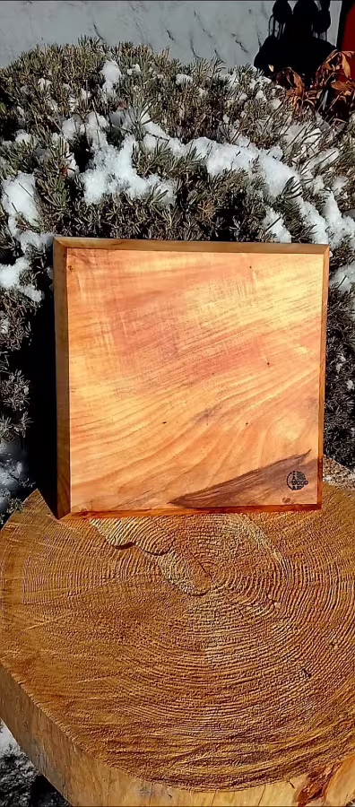 Kaštan – Masiv | Čtverec